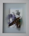 Illustration-Zoetrobe 7/12 (2009)