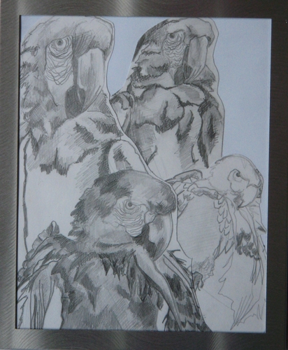 Drawing-Zoetrobe 9/12 (2009)
