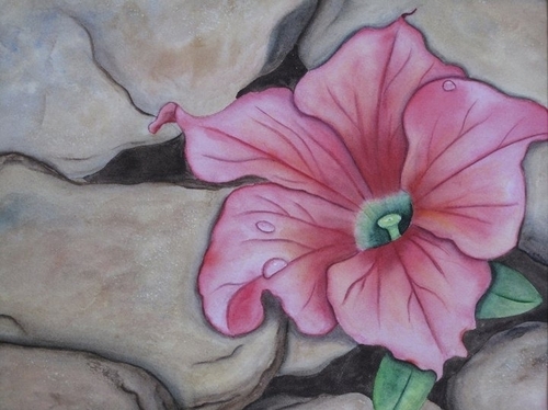 Botanicals