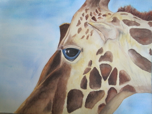 Animals