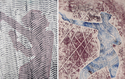 Print Making-Harriet Serenkin, www.harrietserenkin.com