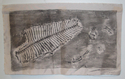 Print Making--MonoprintPriscilla Becker