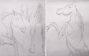 Drawing--PencilAnimal Studies