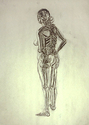 Drawing-Inserting the skeleton into a figure drawn from life, Charcoal.