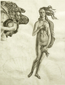 Drawing--PaperMaster Copy after Botticelli�s The Birth of Venus, Ebony Pencil.