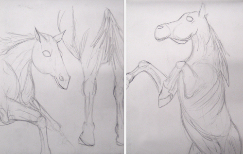 Drawing-Animal Studies