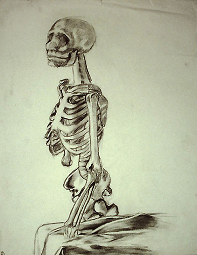 Drawing-Skeleton drawn from life, Charcoal.