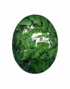Ivy (thumbnail)