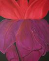 Sharon Barnes - Fuchsia Up Close