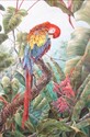 Preening (thumbnail)