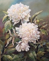 Peonies (thumbnail)