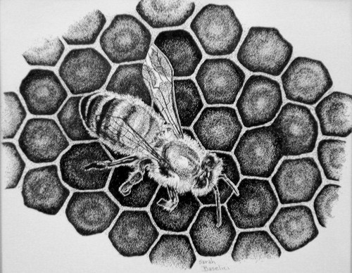 Bee (large view)
