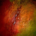 Fire%20Bird%20I (thumbnail)