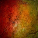 Fire%20Bird%20II (thumbnail)
