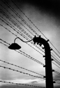 Perimeter (thumbnail)