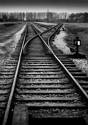 Birkenau (thumbnail)