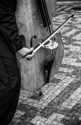 Bass (thumbnail)