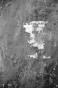 NATO (thumbnail)