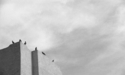 Birds%2C%20Santa%20Fe%2C%20New%20Mexico (thumbnail)