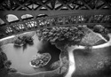Tour%20Eiffel (thumbnail)