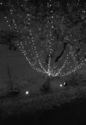 Christmas%2C%20Luca (thumbnail)