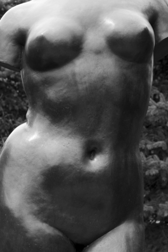 Summer%20Torso%201911%2C%20Aristide%20Mailloi (large view)