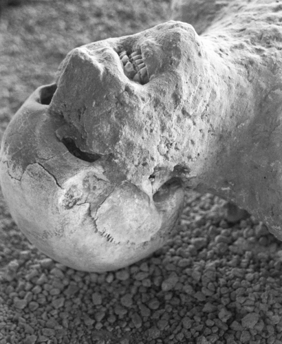 Agony%2C%20Pompeii (large view)