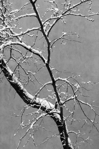 Spring%20Snow%2C%20Santa%20Fe%2C%20New%20Mexico (large view)