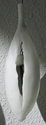 Genesis, detail