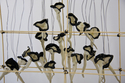 Domus, Detail #1