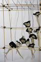 Domus, Detail #2