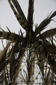 Confused Bird Hive, Detail #1