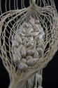 Alabaster Sea, detail #3