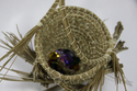 Precious, detail #2
