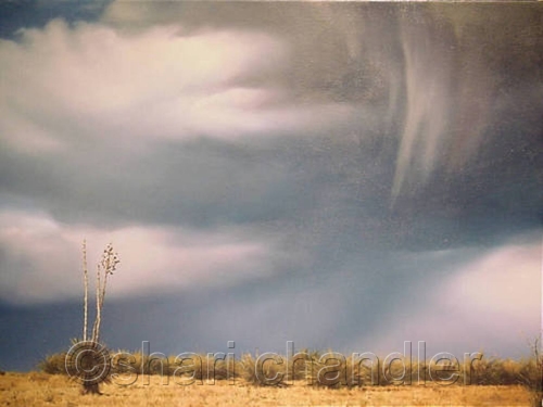 Painting-Southwestern-Summer Virga