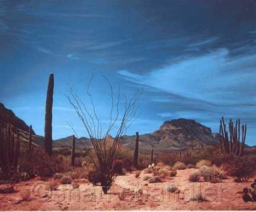Painting-Landscape-Desert Sentries