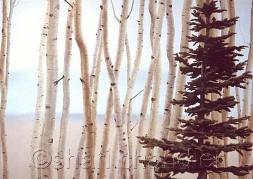 Painting-Winter Aspens
