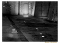 Dot%20Dot%20Bear (thumbnail)