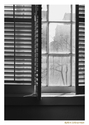 From%20Church%20Window%20 (thumbnail)