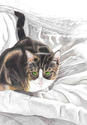 Zoey (thumbnail)