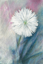 Mum%20on%20Fabric (thumbnail)