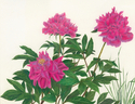 The%20Three%20Dahlias (thumbnail)