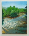 Scott Hawxhurst - "Shark River Park 1"