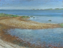 Sandy Hook (tidal pool)