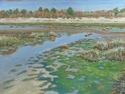 Sandy Hook (marshland)