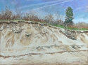 Sandy Hook (Eroding Dune)
