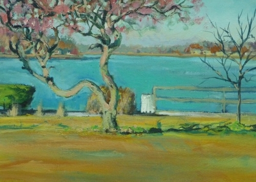 Marina at Dawn