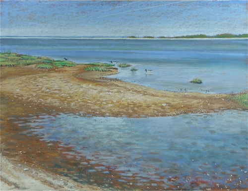 Sandy Hook (tidal pool)