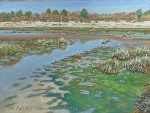 Sandy Hook (marshland)