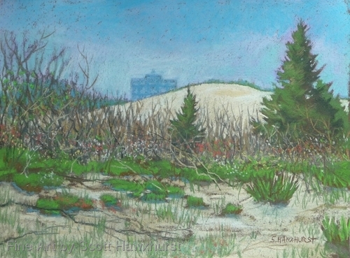 Wild Growth (Sandy Hook)